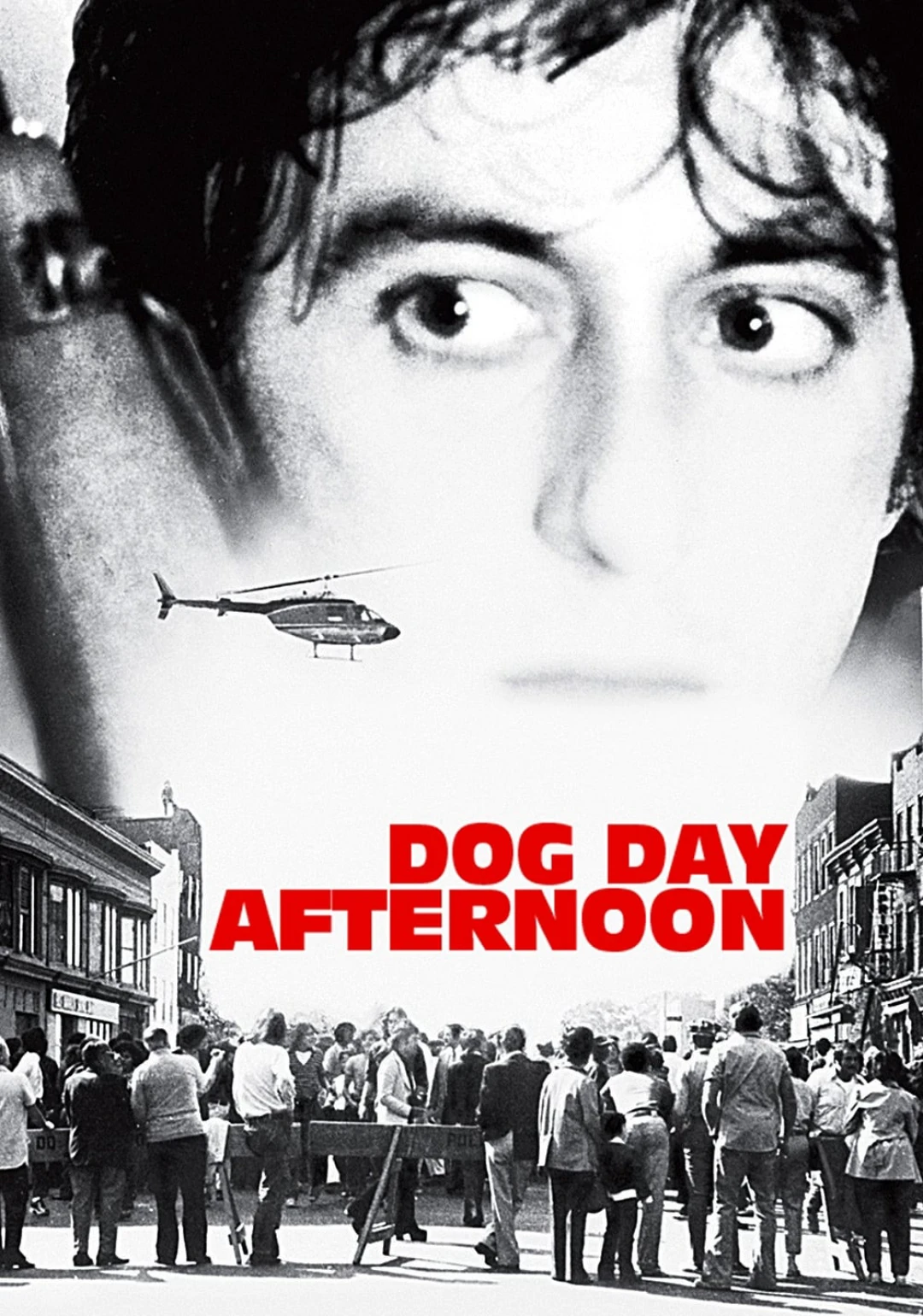 Buổi Chiều Xui Xẻo (Dog Day Afternoon) [1975]