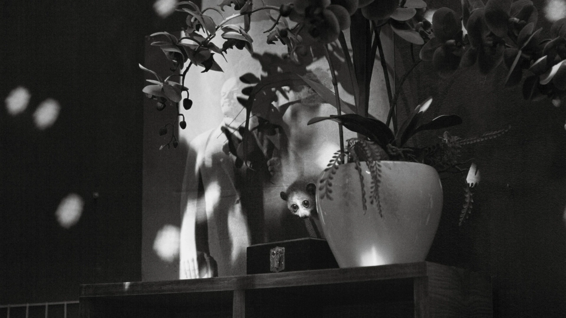 Cu Li Không Bao Giờ Khóc