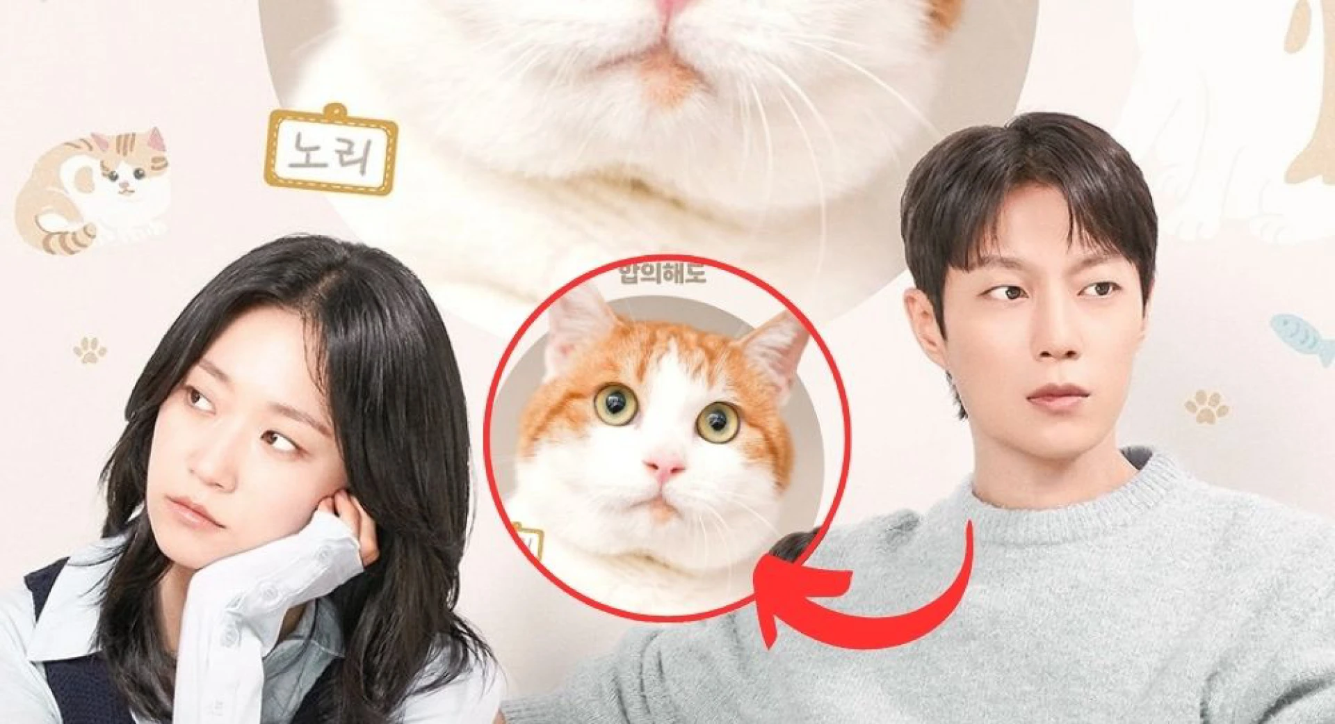 Cuộc Chiến Dành Quyền Nuôi Mèo