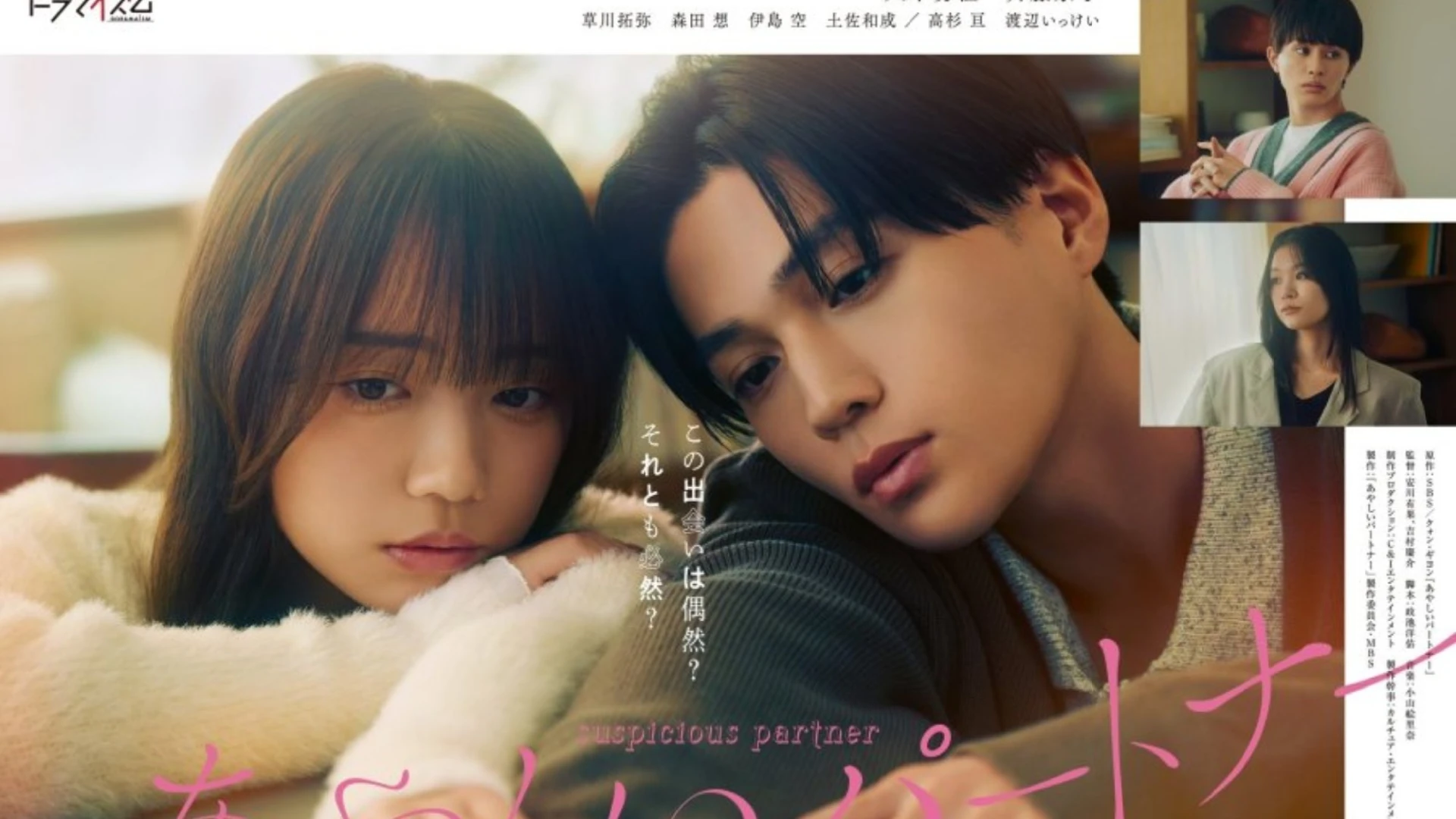 Đối Tác Đáng Ngờ (Bản Nhật)