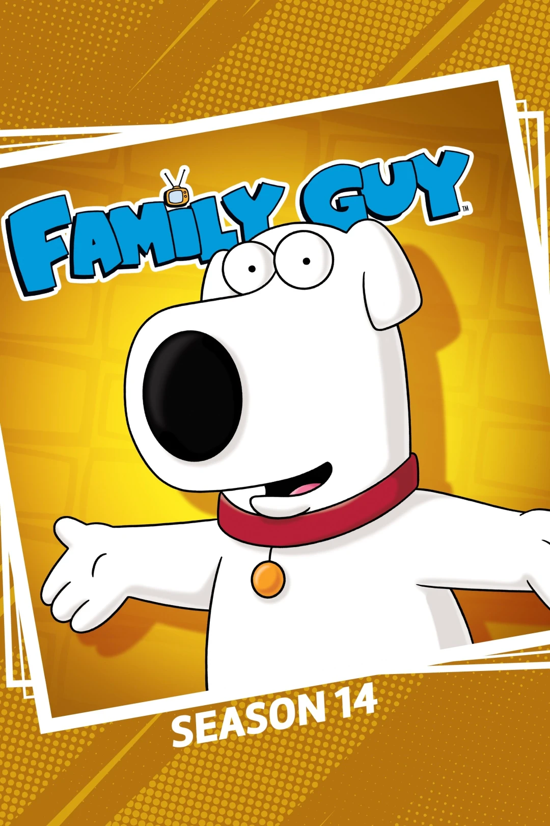 Family Guy (Phần 14) (Family Guy (Season 14)) [2015]