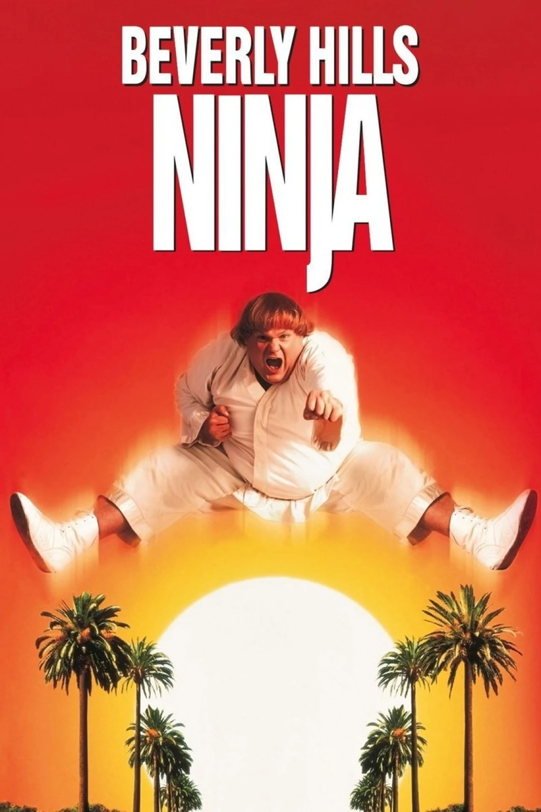 Ninja Đồi Beverly (Beverly Hills Ninja) [1997]