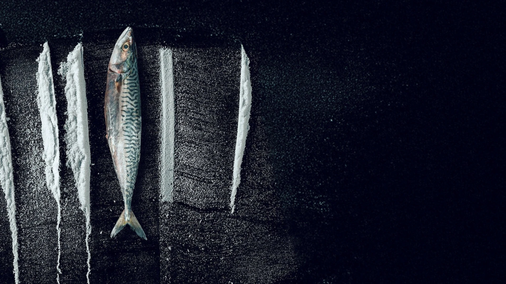 Sống Triều Đổi Vận: Câu Chuyện Siêu  Thực Tế Rabo de Peixe