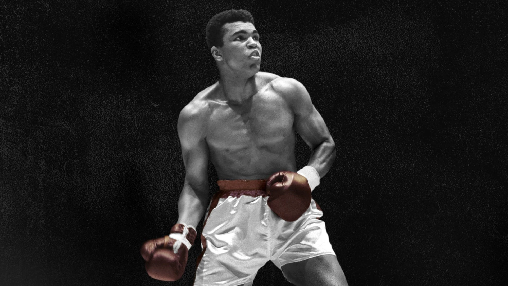 Tên Tôi Là Muhammad Ali
