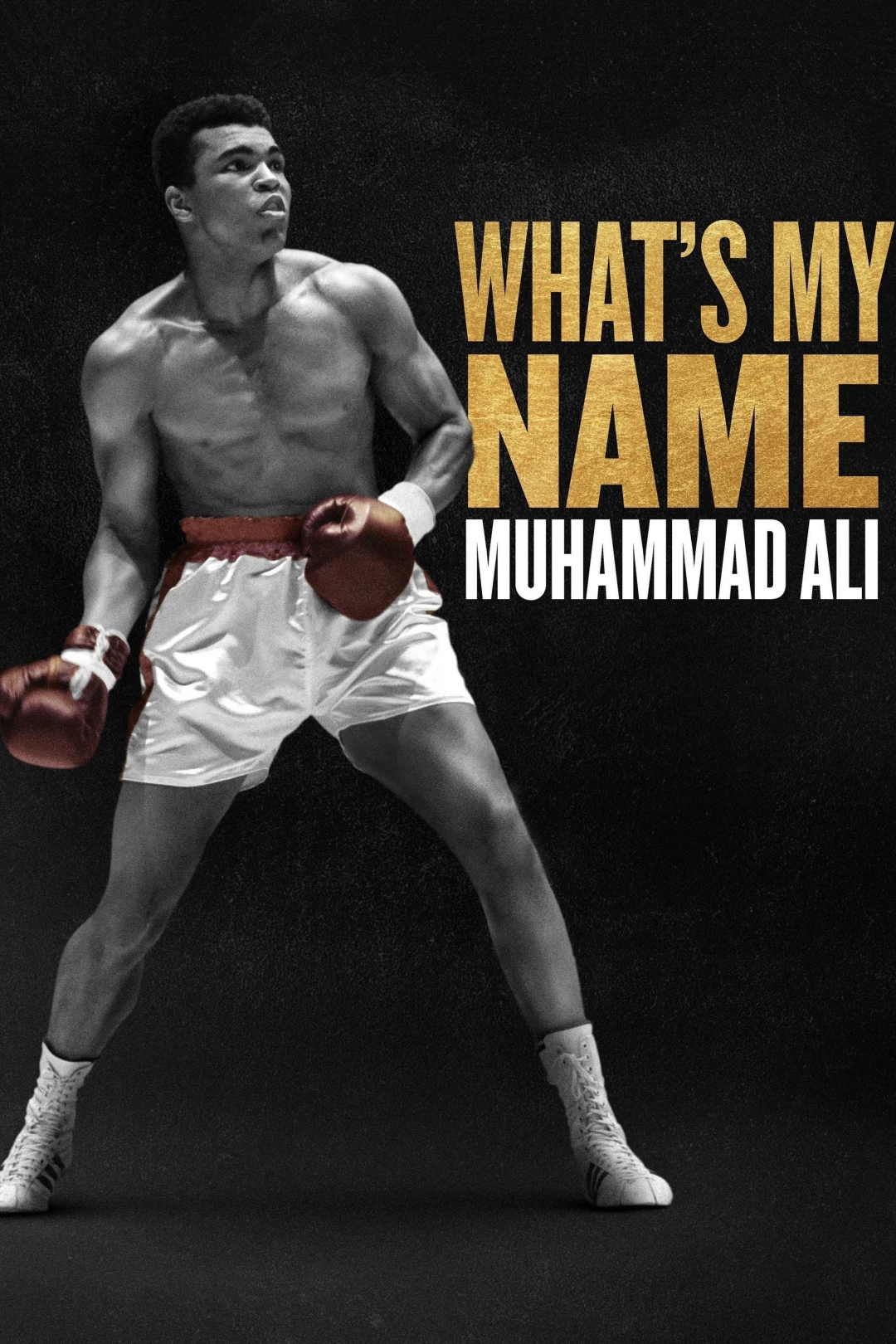 Tên Tôi Là Muhammad Ali (What's My Name | Muhammad Ali) [2019]