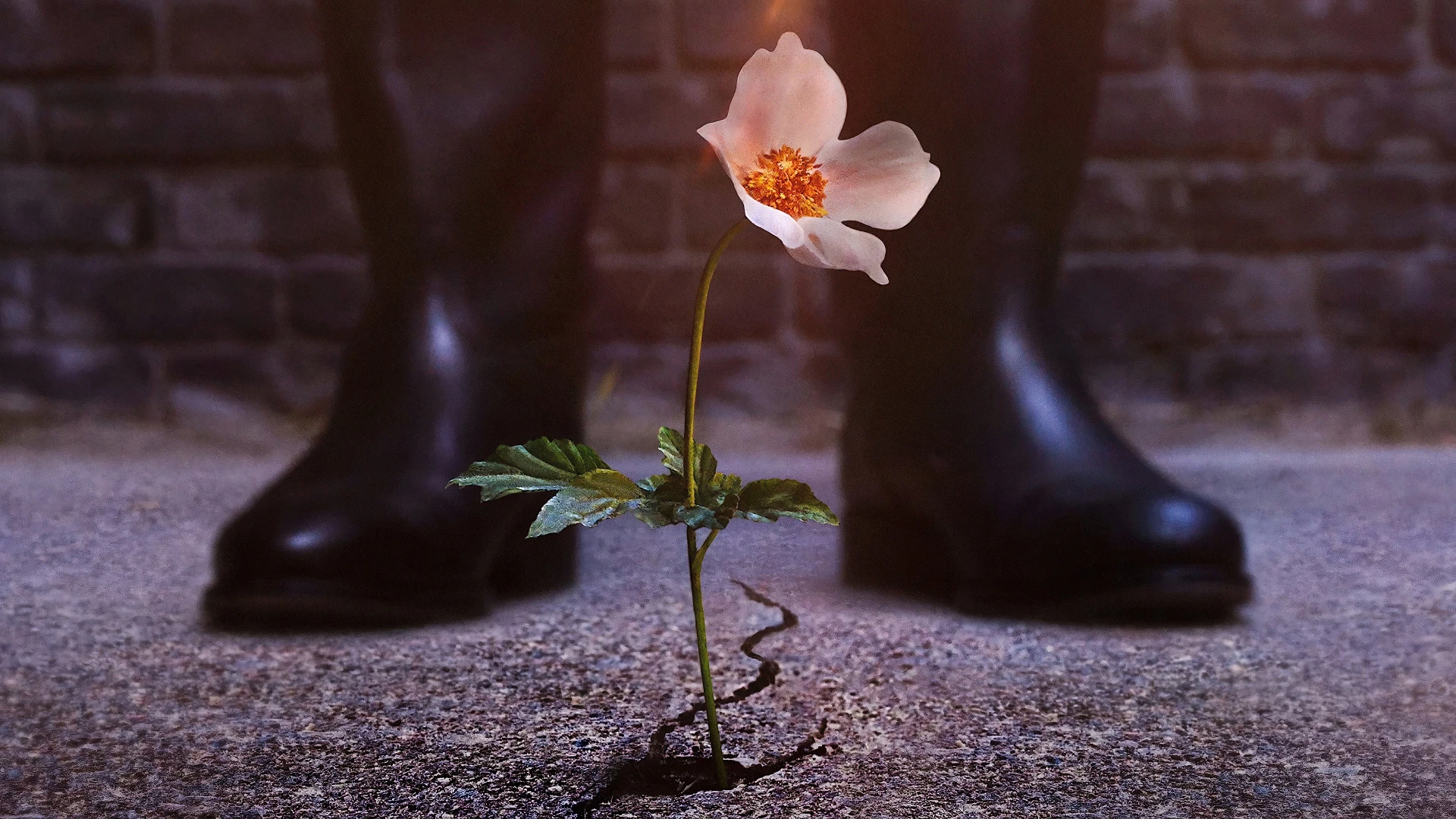 Thế Giới Của Phát Xít (Phần 3)